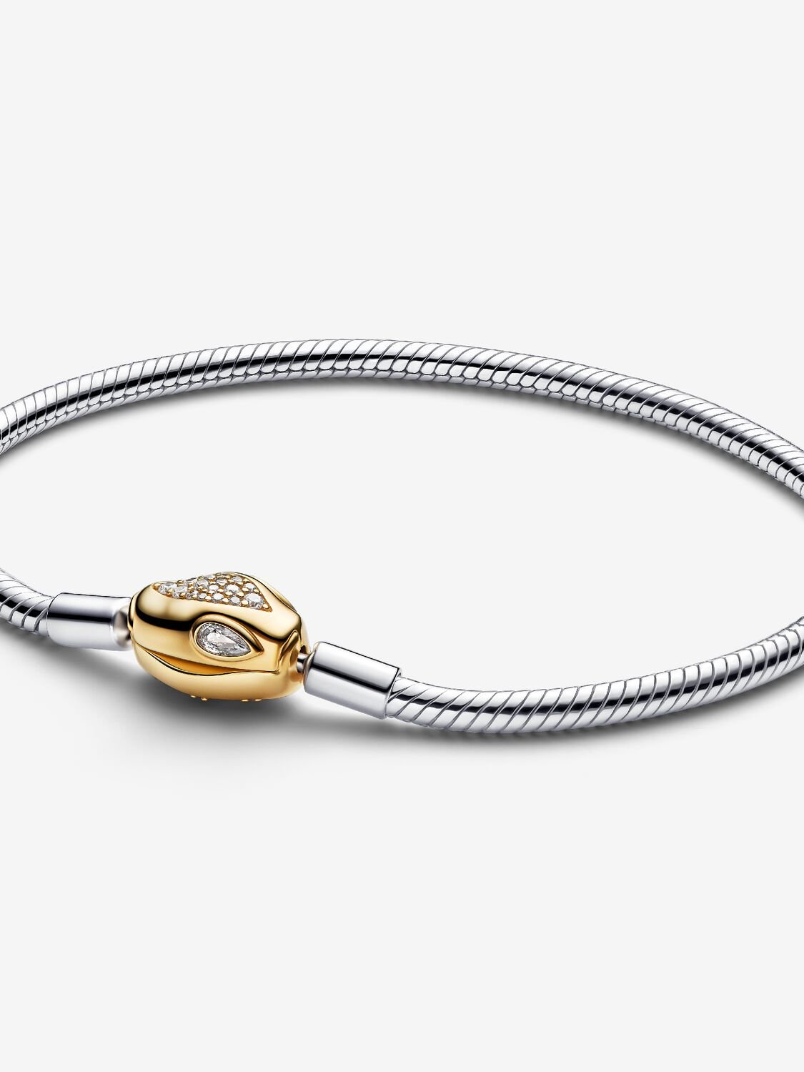 Snake Clasp & Chain Bracelet