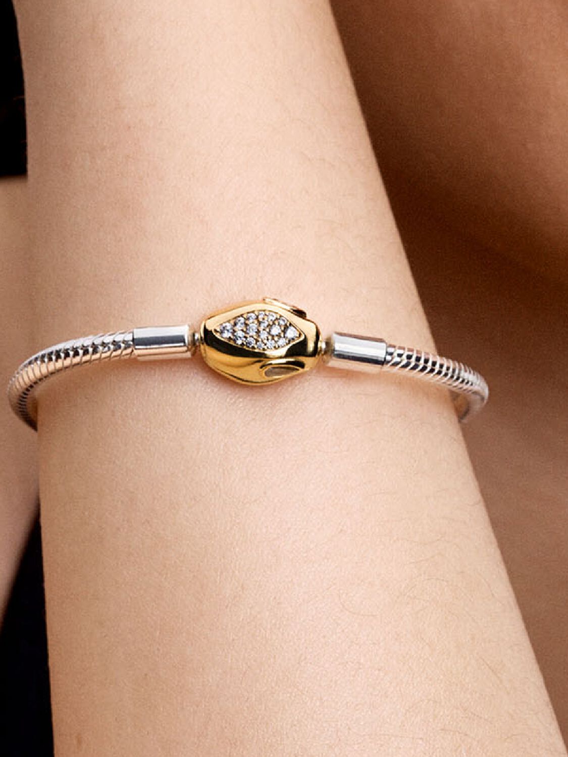 Snake Clasp & Chain Bracelet