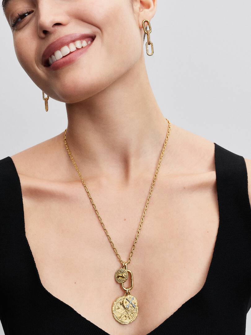 Lion Medallion Charm 14k gold plating