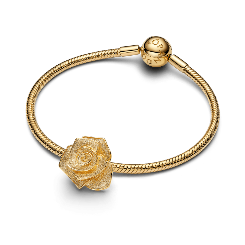 سحر الوردة المزهرة الكبيرة