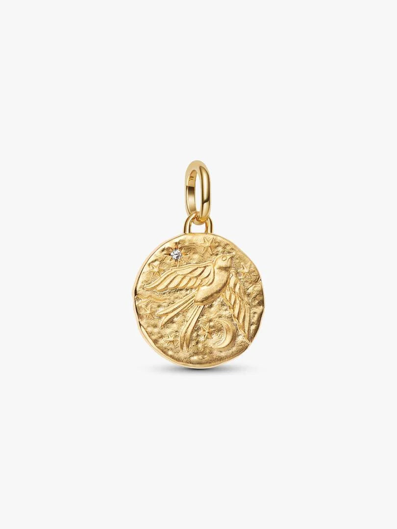 Swallow Medallion Charm 14k gold plating
